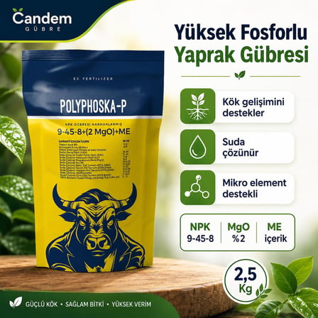 Candem Polyphoska-P 9-45-8 Yaprak Gübresi 2,5 Kg
