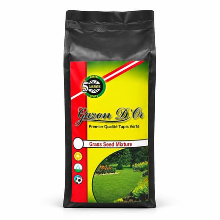 Lolium Perenne Belida İthal Çim Tohumu 1 kg