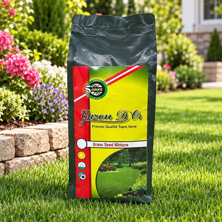 Lolium Perenne Belida İthal Çim Tohumu 1 kg