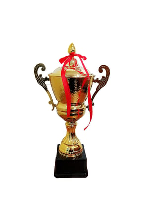 Avessa 33 cm Kapaklı Kupa Gold Kaplama Kupa Madalya J3023C