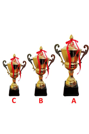 Avessa 33 cm Kapaklı Kupa Gold Kaplama Kupa Madalya J3023C