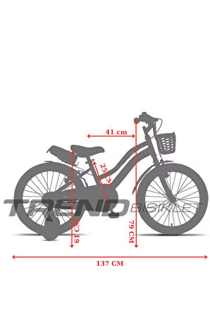 Trendbisiklet Retro Classic 20 Jant 6-10 Yaş Mint Yeşili-Kahve Renkli, Çocuk Bisikleti