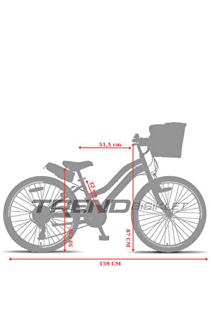 Trendbisiklet Retro Classic 24 Jant 21 Vites SHIMANO, Kadın Bisikleti Pembe-Kahve