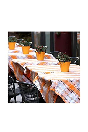 4 Adet Masa Örtüsü Kıskacı Paslanmaz Çelik Masa Örtüsü Mandalı Metal Kıskaç