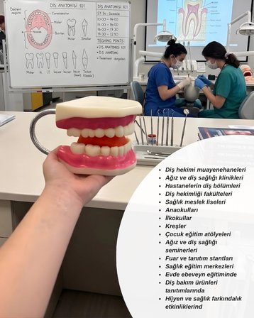 Temel Diş Fırçalama ve Bakım Modeli
