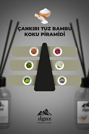 Çankırı Tuzu Bambu Çubuklu Oda Kokusu 110 ml | Red Diffuser Ortam Kokusu
