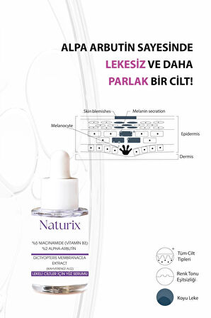 Leke Karşıtı Yüz Serumu ( %5 Nıacınamıde + %2 Alpha-Arbutin) 30 ml