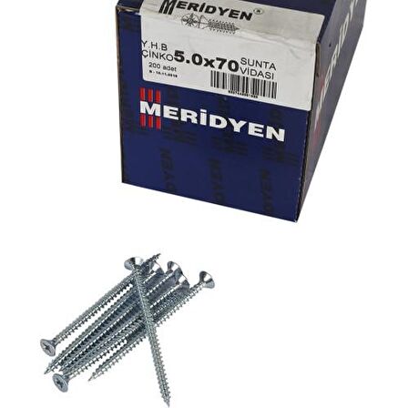 Meridyen Sunta Vidası 4.0x70 200 Lü Paket