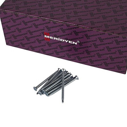 Meridyen Y.S.B. Matkap Uçlu Vida 4.2X50 (500 Adet)