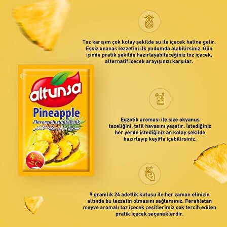 Altunsa Ananas Aromalı Soğuk Toz Içecek 9 gr X 24 Adet