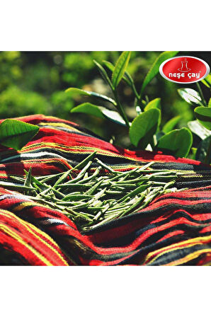 BEYAZ ÇAY (GÜMÜŞ İĞNE)