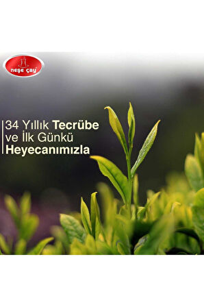 BEYAZ ÇAY (GÜMÜŞ İĞNE)