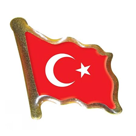 Vatan Rozet Türk Bayrağı Vt602