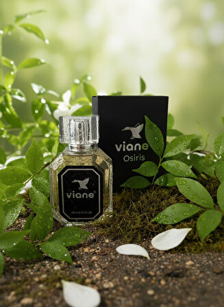 Osiris Eau de Erkek Parfüm – Çekim Gücünün ve Tutkunun Eros Esintisi 100 ml