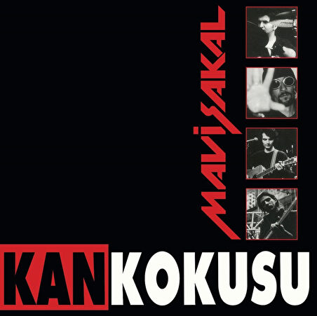 Mavi Sakal Kan Kokusu - Plak