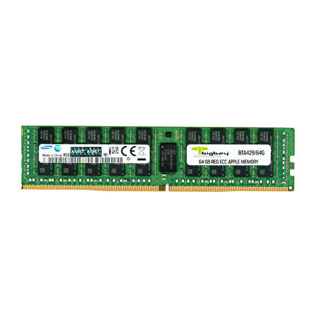 Bigboy BTA429/64G 64 GB DDR4 2933Mhz CL21 Aplle Regidtered Sunucu Bellek