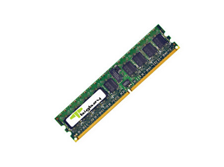 Bigboy BTS4227/1G 1 GB DDR2 667Mhz Registered Sunucu Belleği