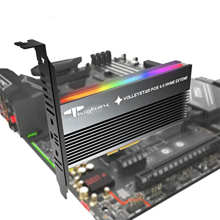 Bigboy BTC-M2G4PE4SHRGB PCIe 4.0 x4 M.2 x4 Soğutuculu RGB 1xNVMe Çevirici Ünite