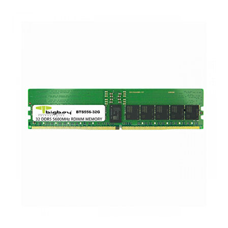 Bigboy BTS556-32G 32 GB DDR5 5600Mhz CL46 2Rx8 Registered Sunucu Belleği