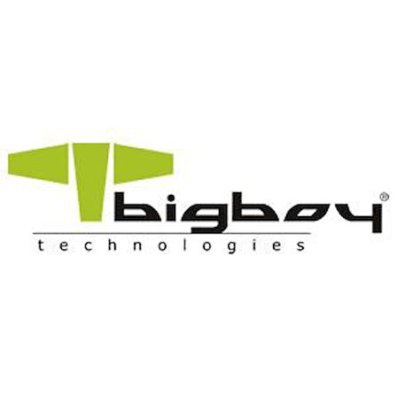 Bigboy BSSD2242N512G M2 512 GB M.2 1800 MB/s 2500 MB/s SSD 
