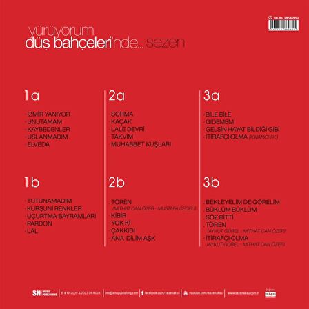 Sezen Aksu - Yürüyorum Düş Bahçelerinde (3 Plak)  