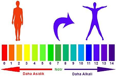 Saf İngiliz Karbonatı 125 Gr Sodyum Bikarbonat Alkali Yaşam