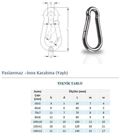 Adelinspor Vidalı Karabina 10*100 MM 10 lu Paket