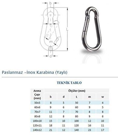 Adelinspor Karabina 10*100 MM 10 lu Paket