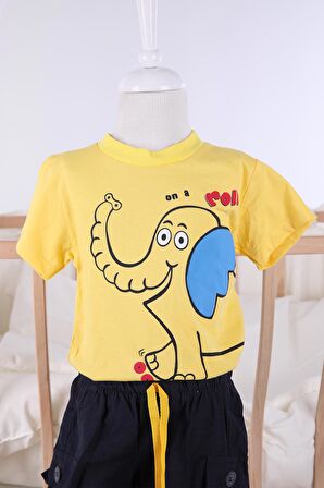 Yazlık Erkek Şort Tshirt Takım 02041 