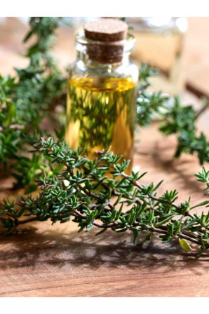 Naturoil Kekik Yağı 20 ml