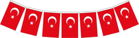 Vatan Kağıt Bayrak Türk İpli Büyük (11x19 cm) VT809