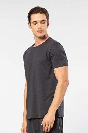 Cacharel Erkek Bisiklet Yaka T-shirt 2169/Antrasit