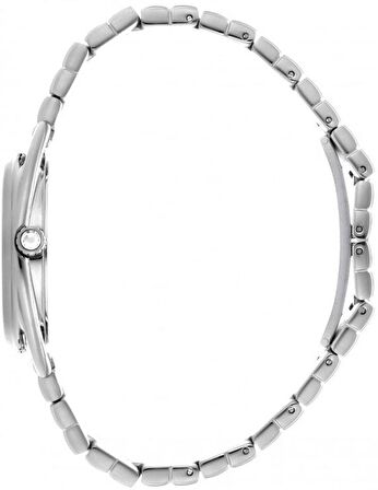 Momentus CW100S-02SS