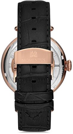 Momentus X25R-17BR