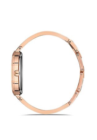 MOMENTUS SS231T-02SR