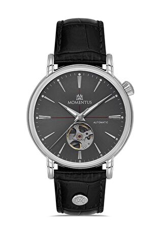 Momentus Men's Time Masters TM349S-04BS Erkek Kol Saati