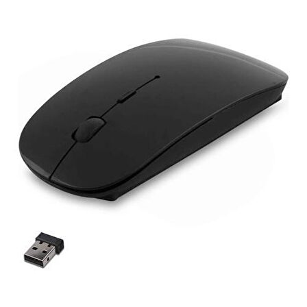 Everest SM-781 Optik Nano Receive Kablosuz Mouse Siyah