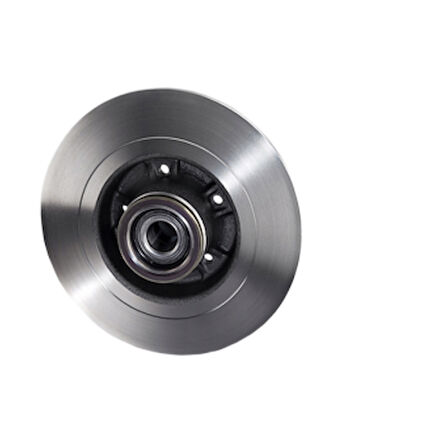 Renault Arka Fren Diski Rulmanlı Grand Scenic III 2,0 Turbo / 2,0 DCI 5 Bijon - Braxıs Ae0924