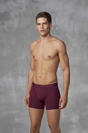 DOREANSE 1742 3 LÜ BOXER