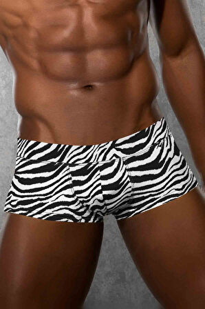 Doreanse Erkek Modal Zebra Çizgili Mini Paça Boxer 1795