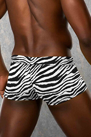 Doreanse Erkek Modal Zebra Çizgili Mini Paça Boxer 1795