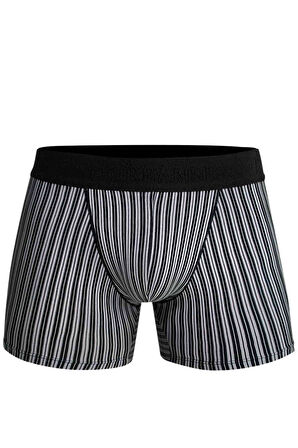Doreanse Erkek Modal Çizgi Desenli Normal Paça Boxer 1866