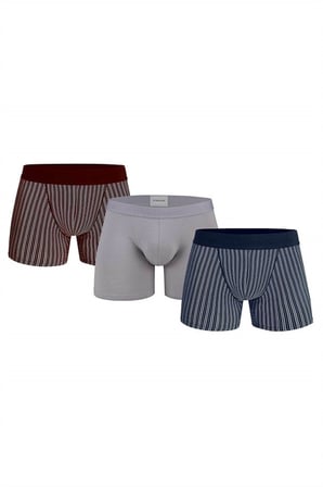 Doreanse Erkek 3 Lü Boxer 1867 - Lacivert-Bordo-Gri