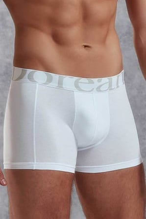 Doreanse Erkek Büyük Beden Modal Torbalı Rahat Paçalı Boxer 1777P - Gri