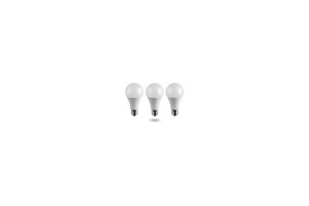 Paket 15 Watt Ekonomik Led Ampul Işık (Günışığı)