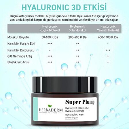 Herbaderm Super Plump Dolgunlaştırıcı ve Kırışıklık Karşıtı Nemlendirici Krem 50ML