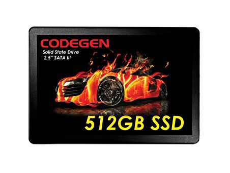 Codegen 2.5 İnç 512 GB Sata 3.0 450 MB/s 500 MB/s SSD 