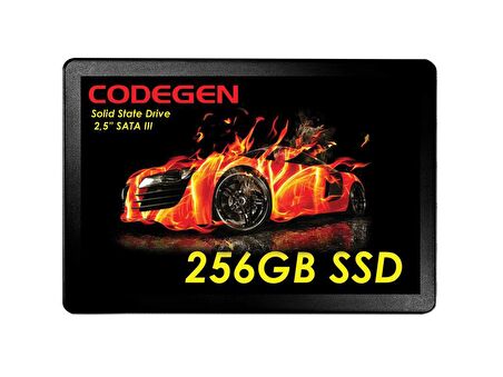 Codegen 2.5 İnç 256 GB Sata 450 MB/s 500 MB/s SSD 