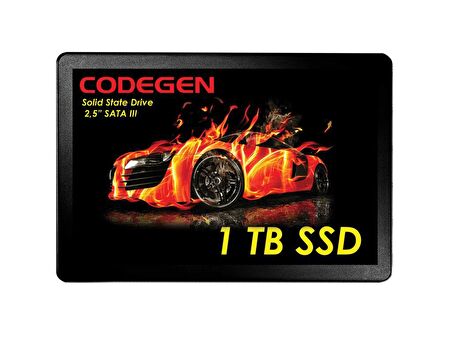 Codegen 2.5 İnç 1 TB Sata 450 MB/s 500 MB/s SSD 