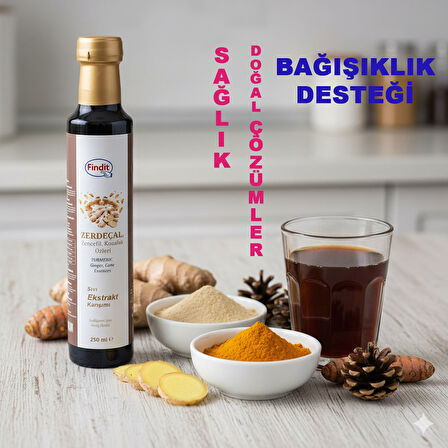 Findit Zerdecal Zencefil Kozalak Özleri, Sıvı Ekstrakt Karışımı, Doğal Bitkisel Destek 250ml